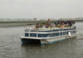 Eco Cruise