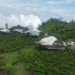 Tren wisata glamping