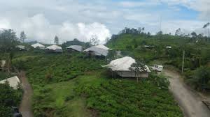 Tren wisata glamping