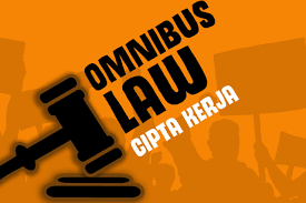 Omnibus Law