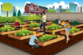 urban gardening