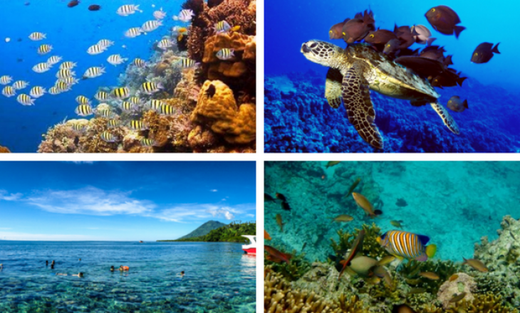 Wisata Laut Indonesia